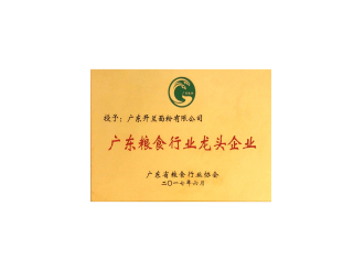 广东粮食行业龙头企业